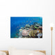 Several Species Small Schooling Wall Decal Design 3