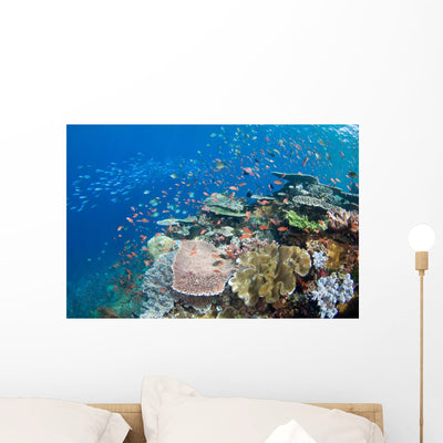 Several Species Small Schooling Wall Decal Design 3 shown on a wall