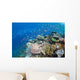 Several Species Small Schooling Wall Decal Design 3