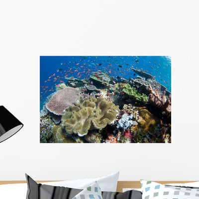 Several Species Small Schooling Wall Decal Design 2 shown on a wall