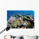 Several Species Small Schooling Wall Decal Design 2