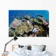 Several Species Small Schooling Wall Decal Design 2