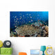 Several Species Small Schooling Wall Decal Design 1