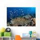 Several Species Small Schooling Wall Decal Design 1