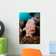Giant Frogfish Portrait Wall Decal