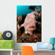 Giant Frogfish Portrait Wall Decal