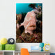 Giant Frogfish Portrait Wall Decal