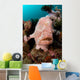 Giant Frogfish Portrait Wall Decal