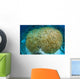 Hard Coral Midst Bleaching Wall Decal