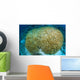 Hard Coral Midst Bleaching Wall Decal