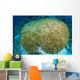 Hard Coral Midst Bleaching Wall Decal
