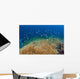 Reef Fish Hover over Wall Decal