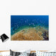 Reef Fish Hover over Wall Decal