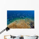 Reef Fish Hover over Wall Decal