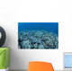 Shallow Hard Coral Garden Wall Decal Design 2