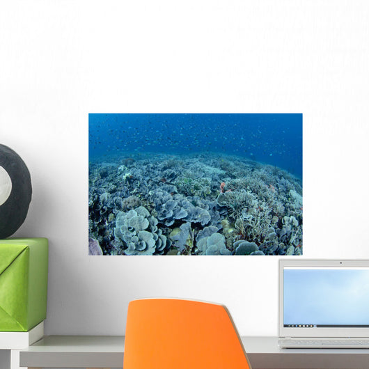 Shallow Hard Coral Garden Wall Decal Design 2