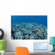 Shallow Hard Coral Garden Wall Decal Design 2