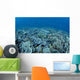 Shallow Hard Coral Garden Wall Decal Design 2
