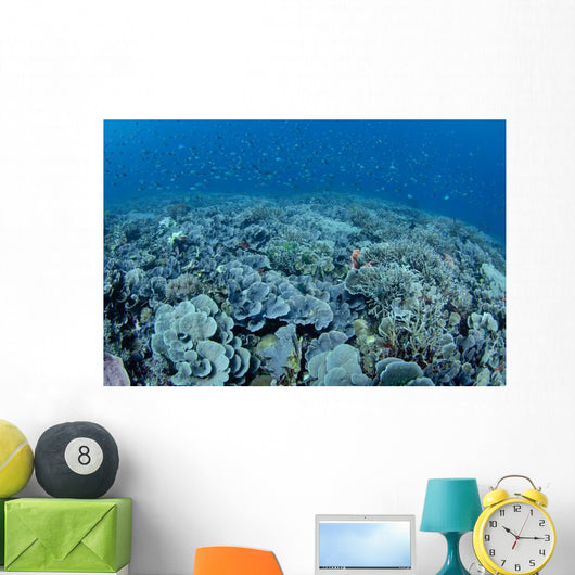 Shallow Hard Coral Garden Wall Decal Design 2