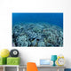 Shallow Hard Coral Garden Wall Decal Design 2