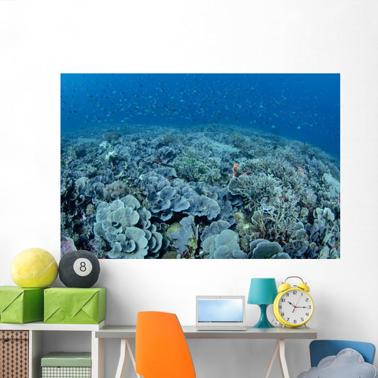 Shallow Hard Coral Garden Wall Decal Design 2