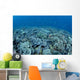 Shallow Hard Coral Garden Wall Decal Design 2