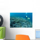 Diver Swims over Shallow Wall Decal