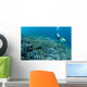 Diver Swims over Shallow Wall Decal