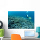 Diver Swims over Shallow Wall Decal