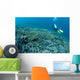 Diver Swims over Shallow Wall Decal