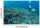 Diver Swims over Shallow Wall Decal
