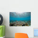 Reflection Surface Shallow Hard Wall Decal