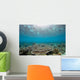 Reflection Surface Shallow Hard Wall Decal