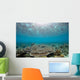 Reflection Surface Shallow Hard Wall Decal