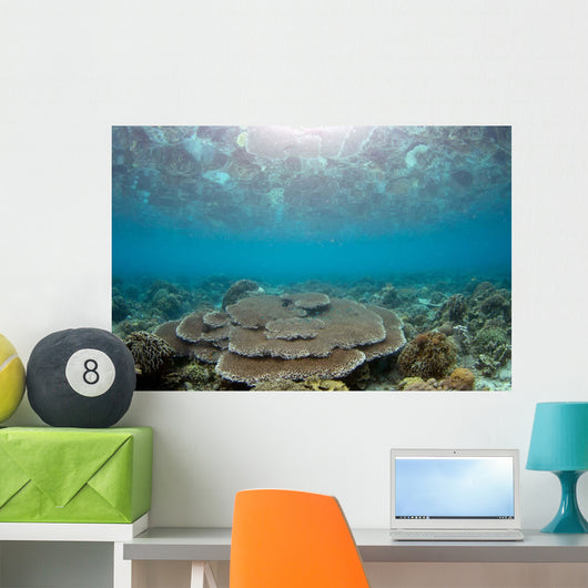 Reflection Surface Shallow Hard Wall Decal