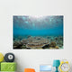 Reflection Surface Shallow Hard Wall Decal