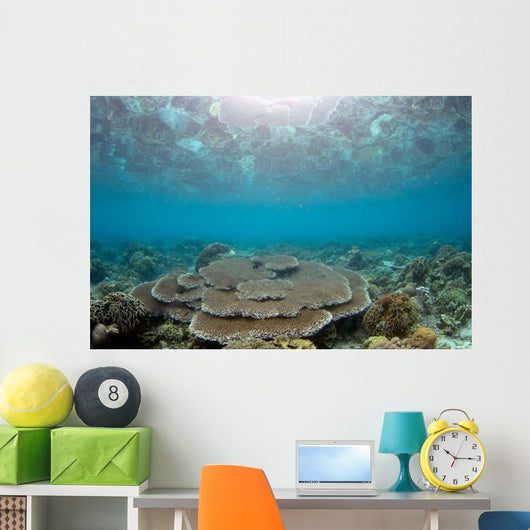 Reflection Surface Shallow Hard Wall Decal
