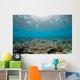 Reflection Surface Shallow Hard Wall Decal