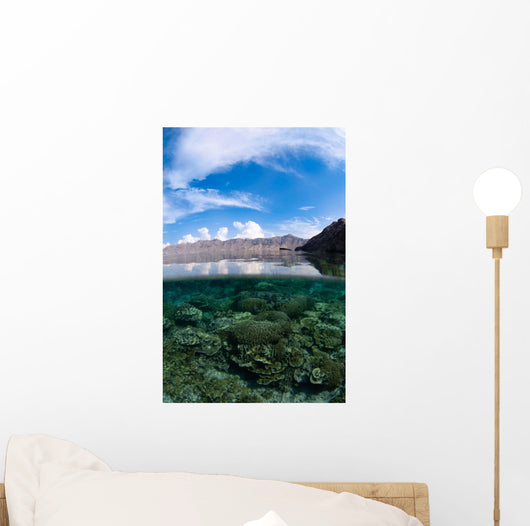 Shallow Hard Coral Reef Wall Decal