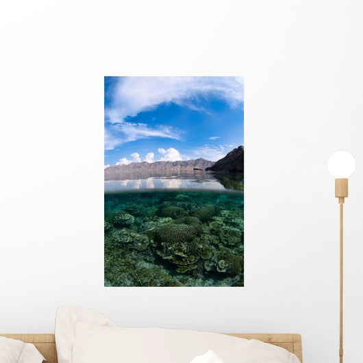 Shallow Hard Coral Reef Wall Decal