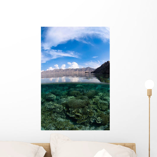 Shallow Hard Coral Reef Wall Decal
