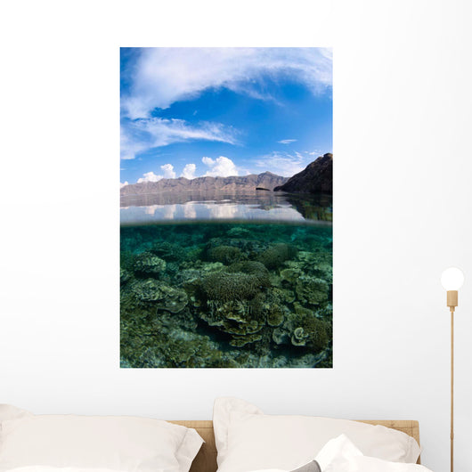 Shallow Hard Coral Reef Wall Decal