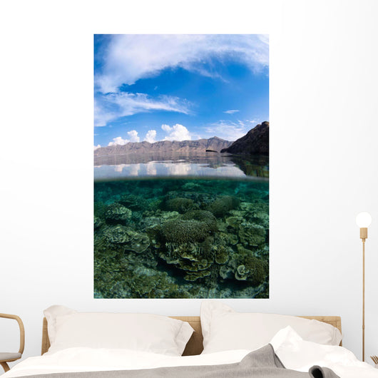 Shallow Hard Coral Reef Wall Decal