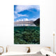 Shallow Hard Coral Reef Wall Decal