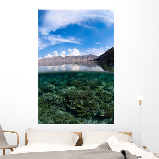 Shallow Hard Coral Reef Wall Decal