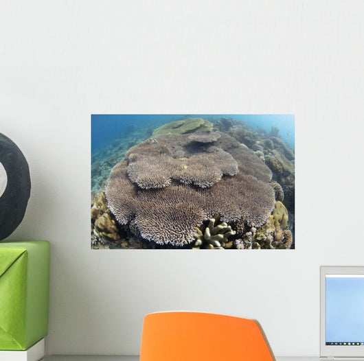 Shallow Hard Coral Garden Wall Decal Design 1