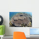 Shallow Hard Coral Garden Wall Decal Design 1