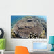 Shallow Hard Coral Garden Wall Decal Design 1