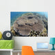Shallow Hard Coral Garden Wall Decal Design 1