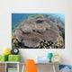 Shallow Hard Coral Garden Wall Decal Design 1